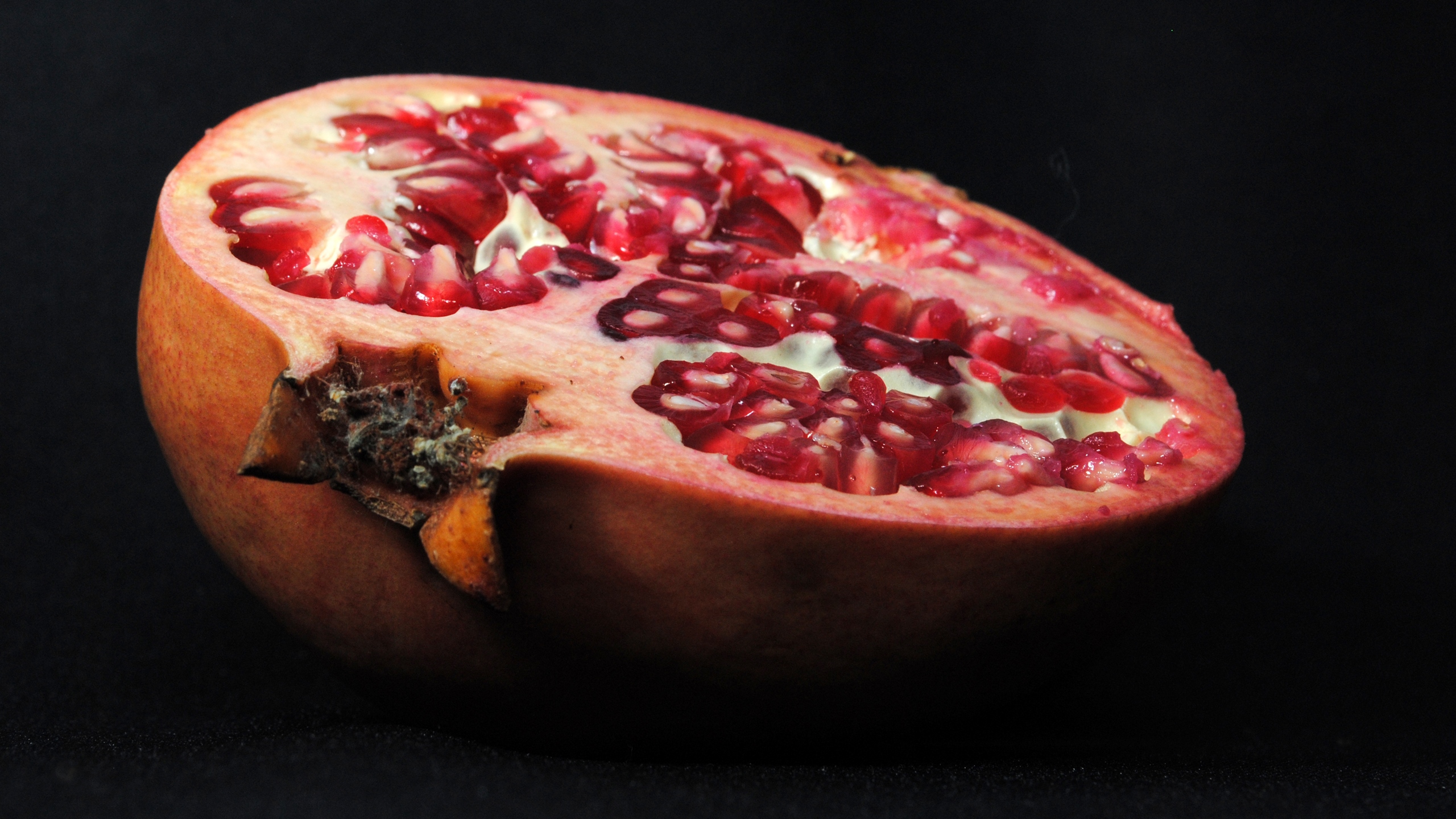 Banner Image 1