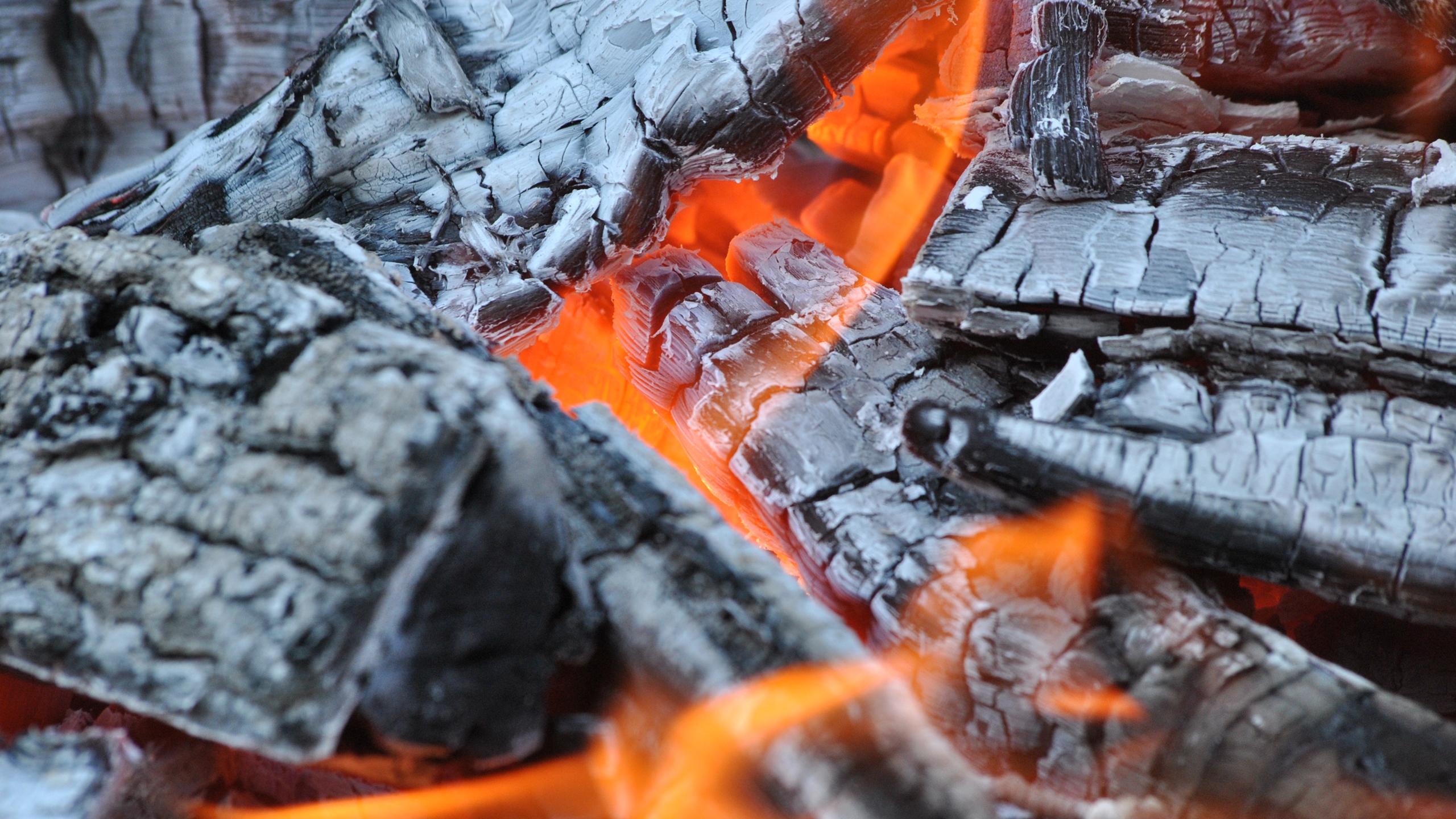 Banner Image 7