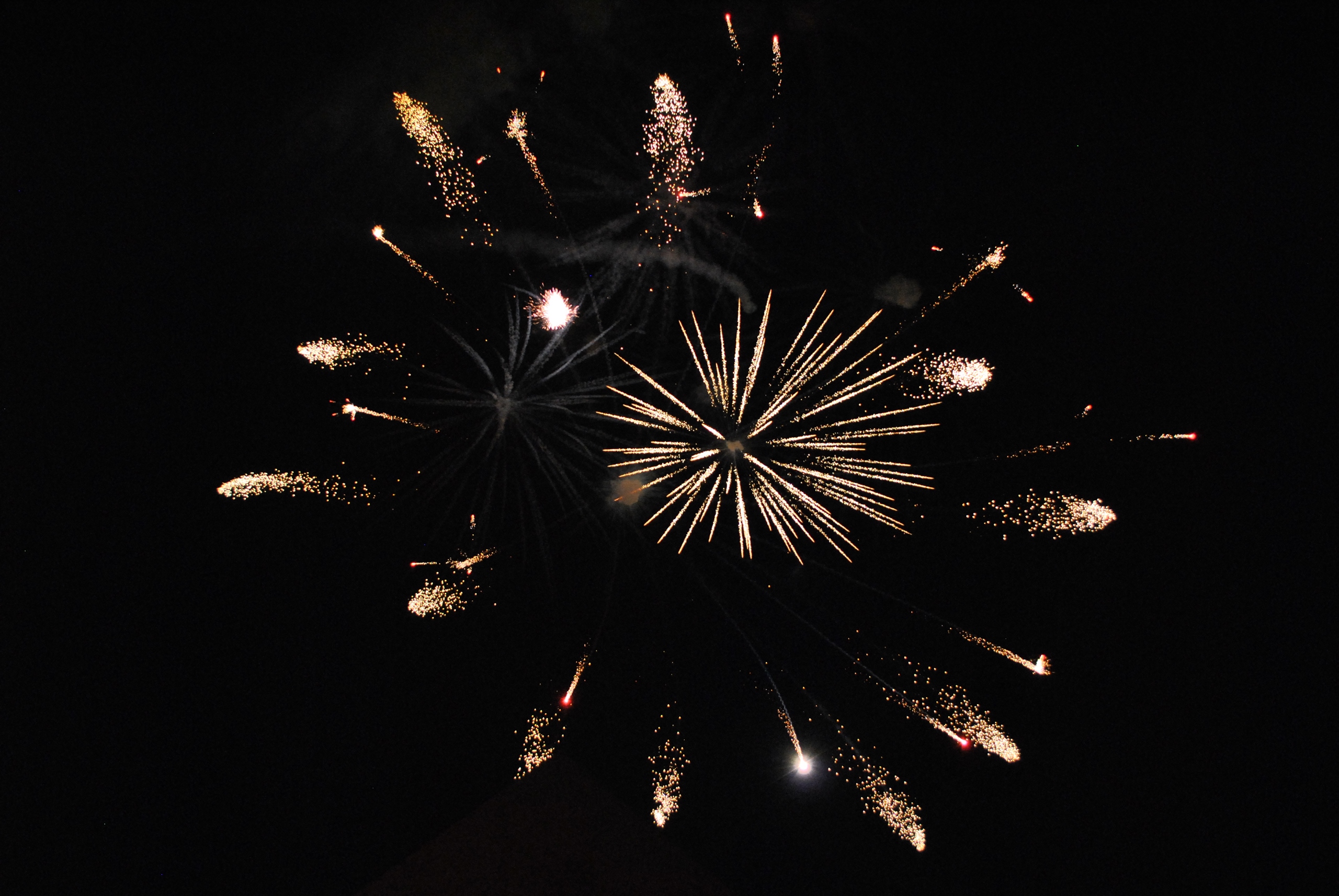 Banner Image 5