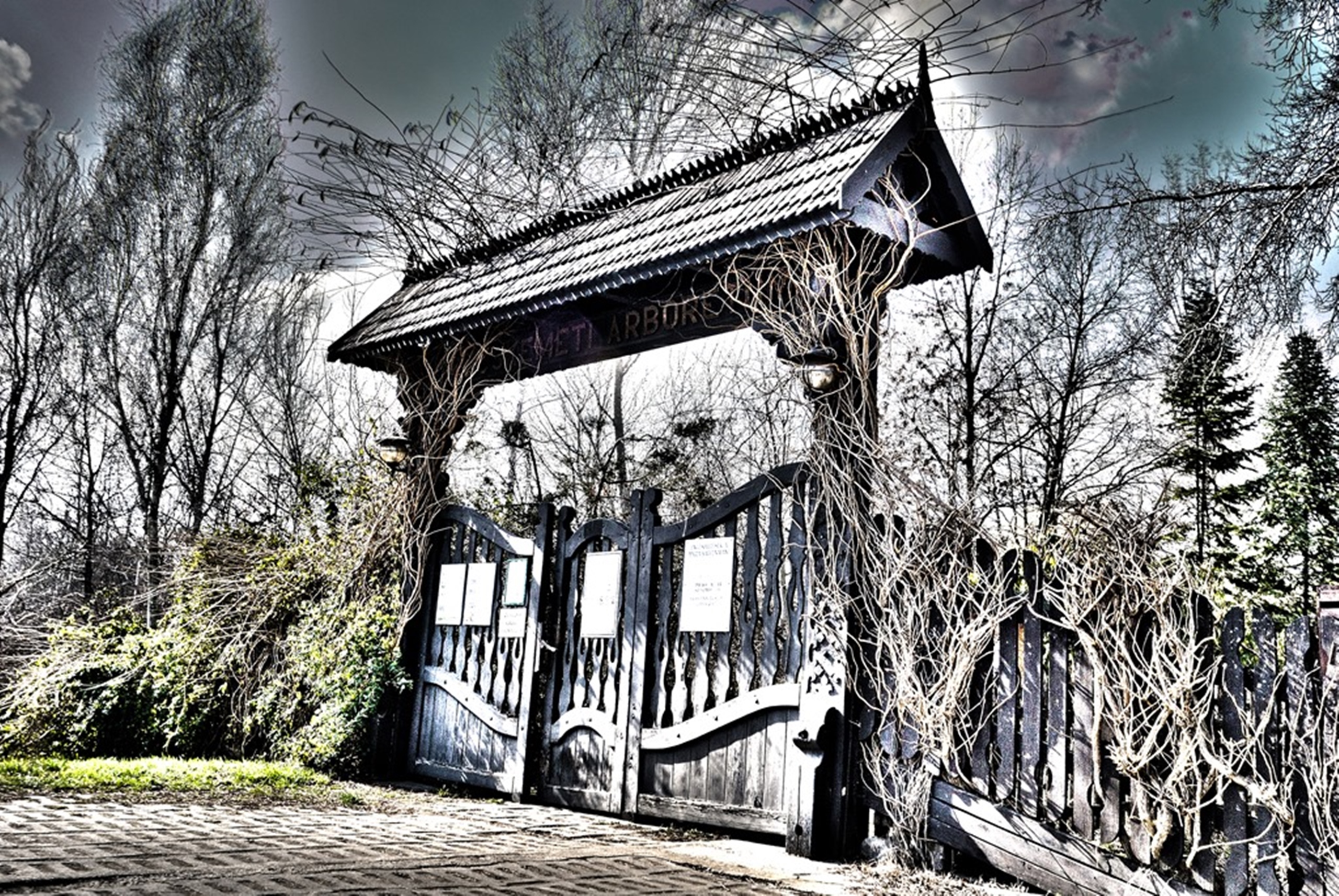 Banner Image 4