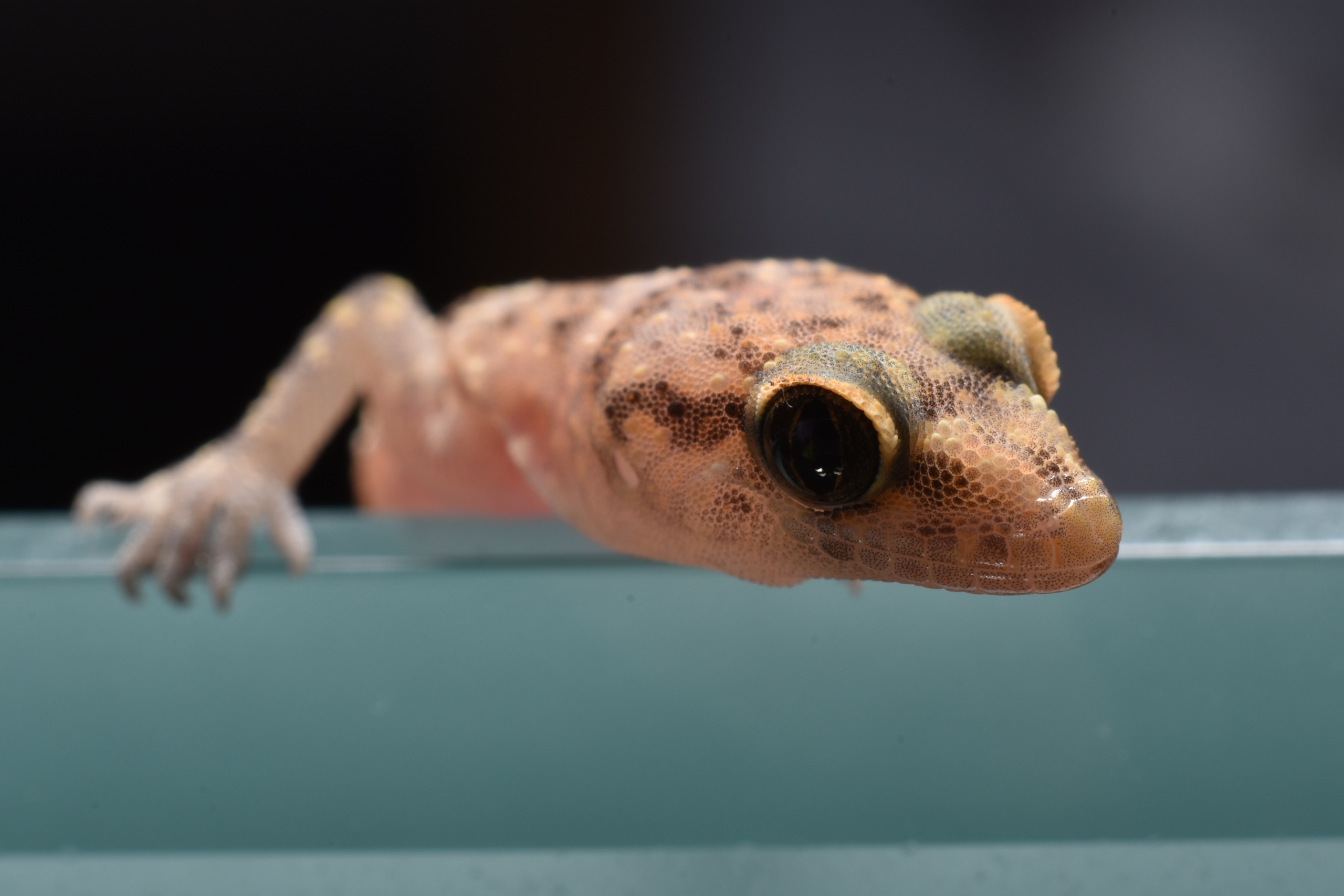 Banner Image 1