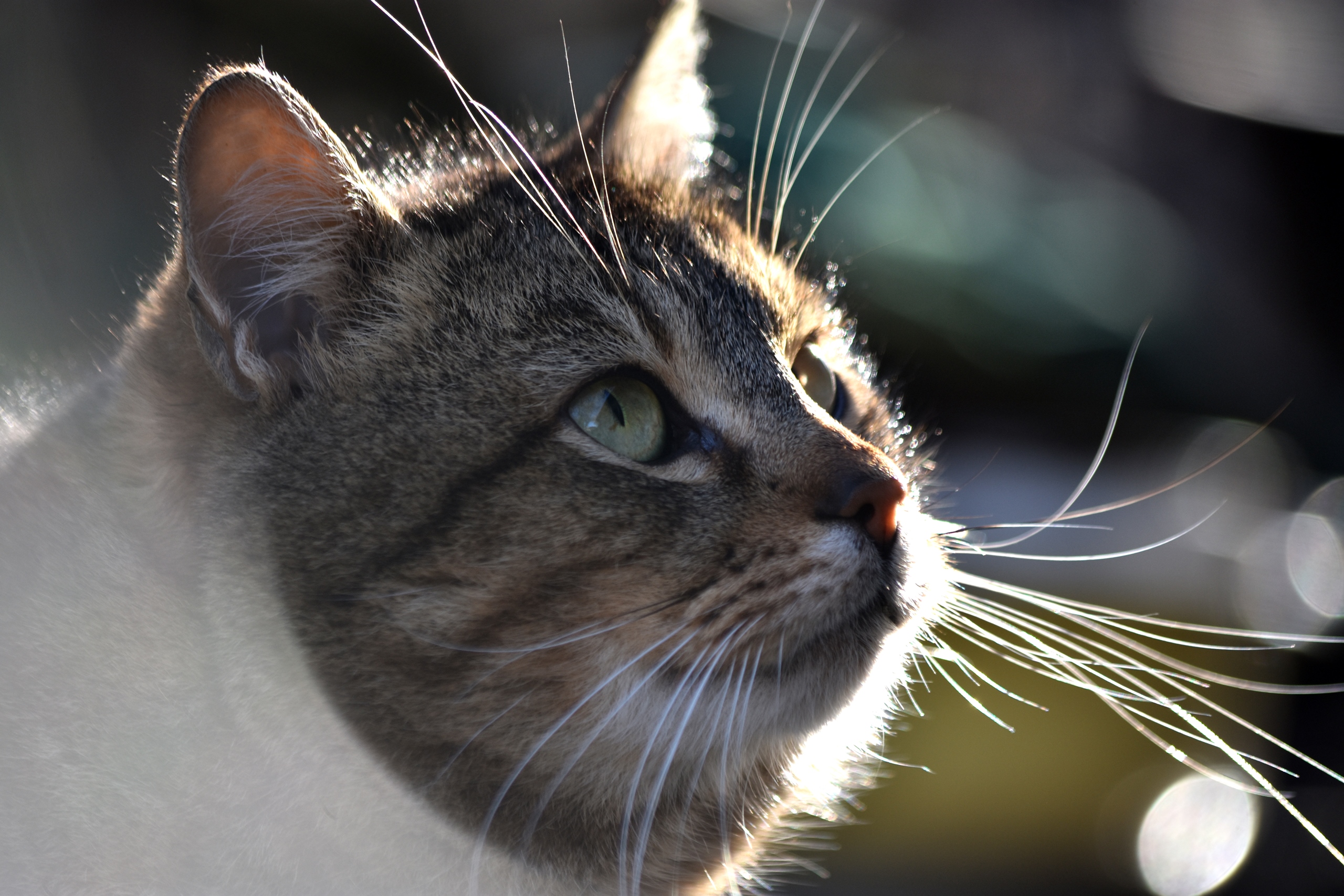 Banner Image 2