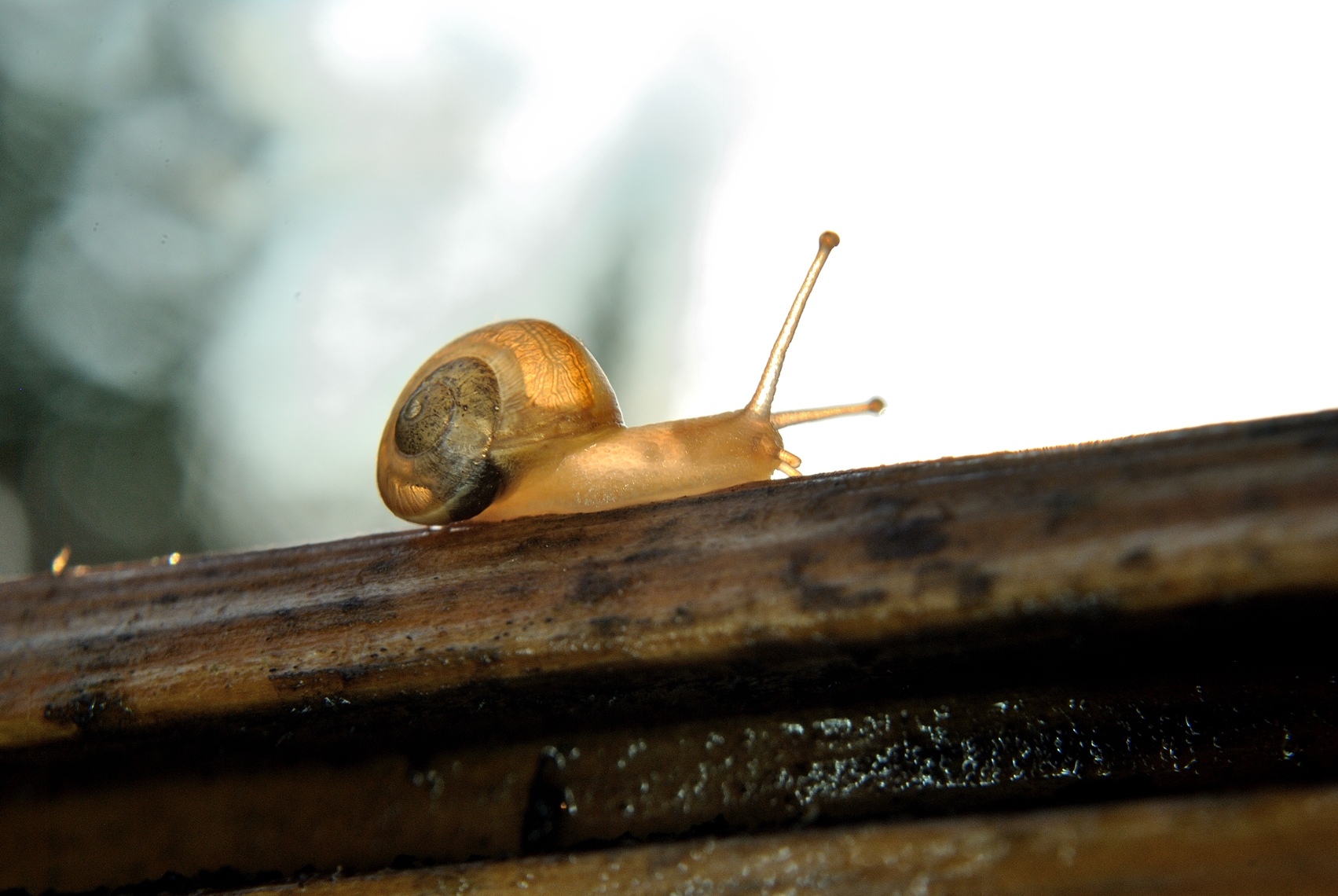 Banner Image 3