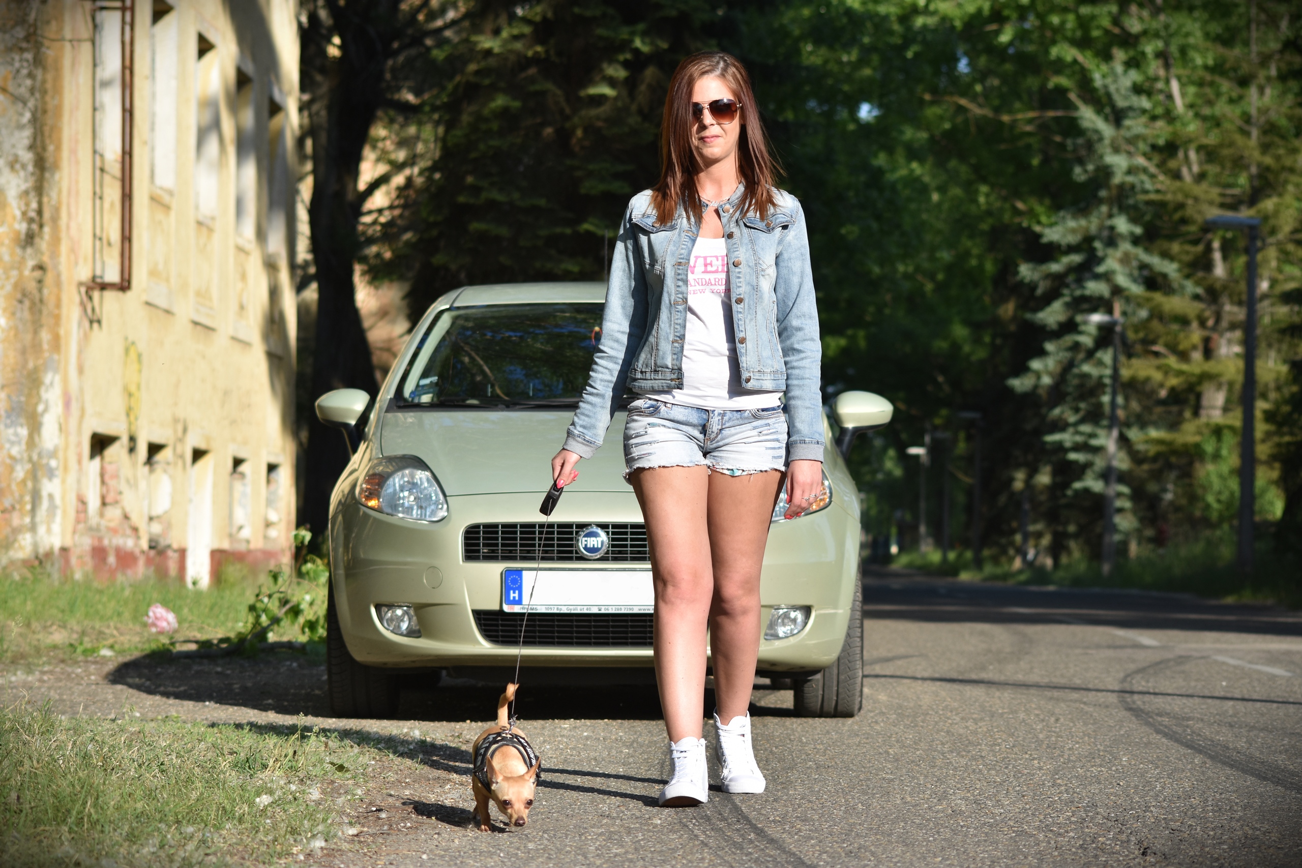 Banner Image 2