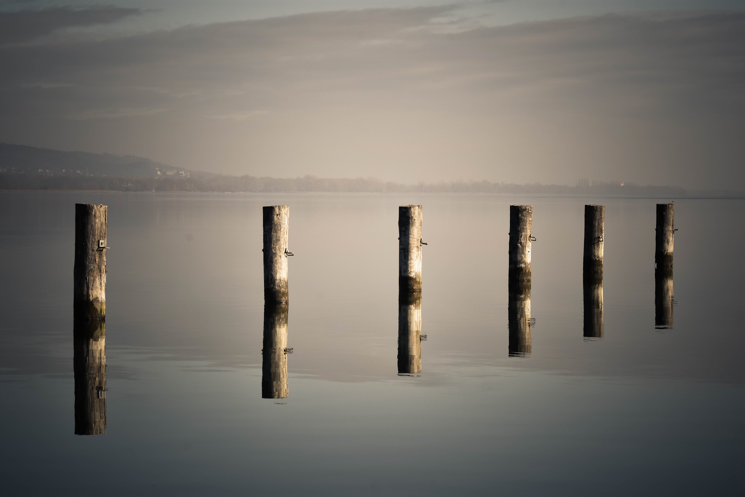 Banner Image 3