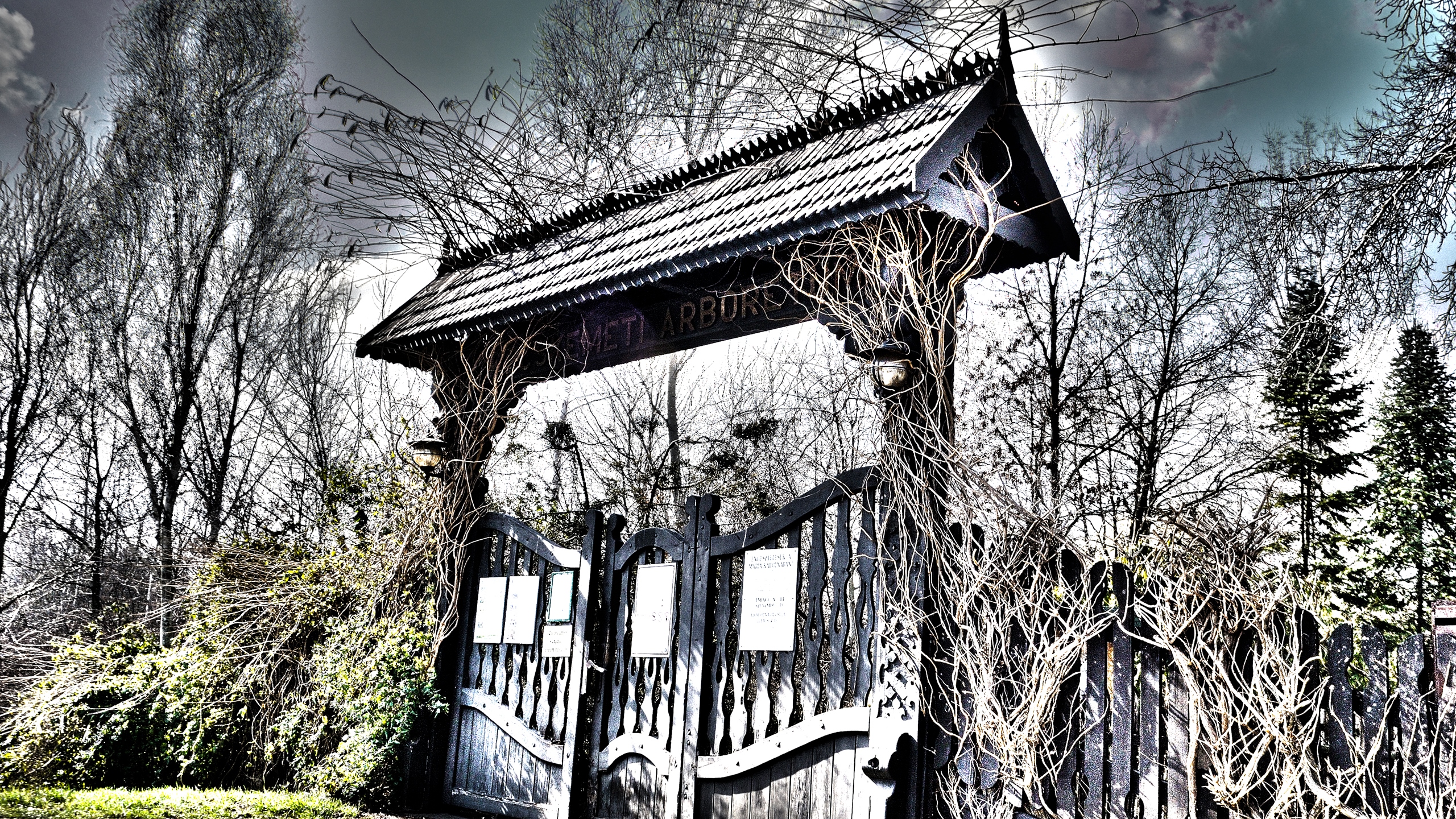 Banner Image 5