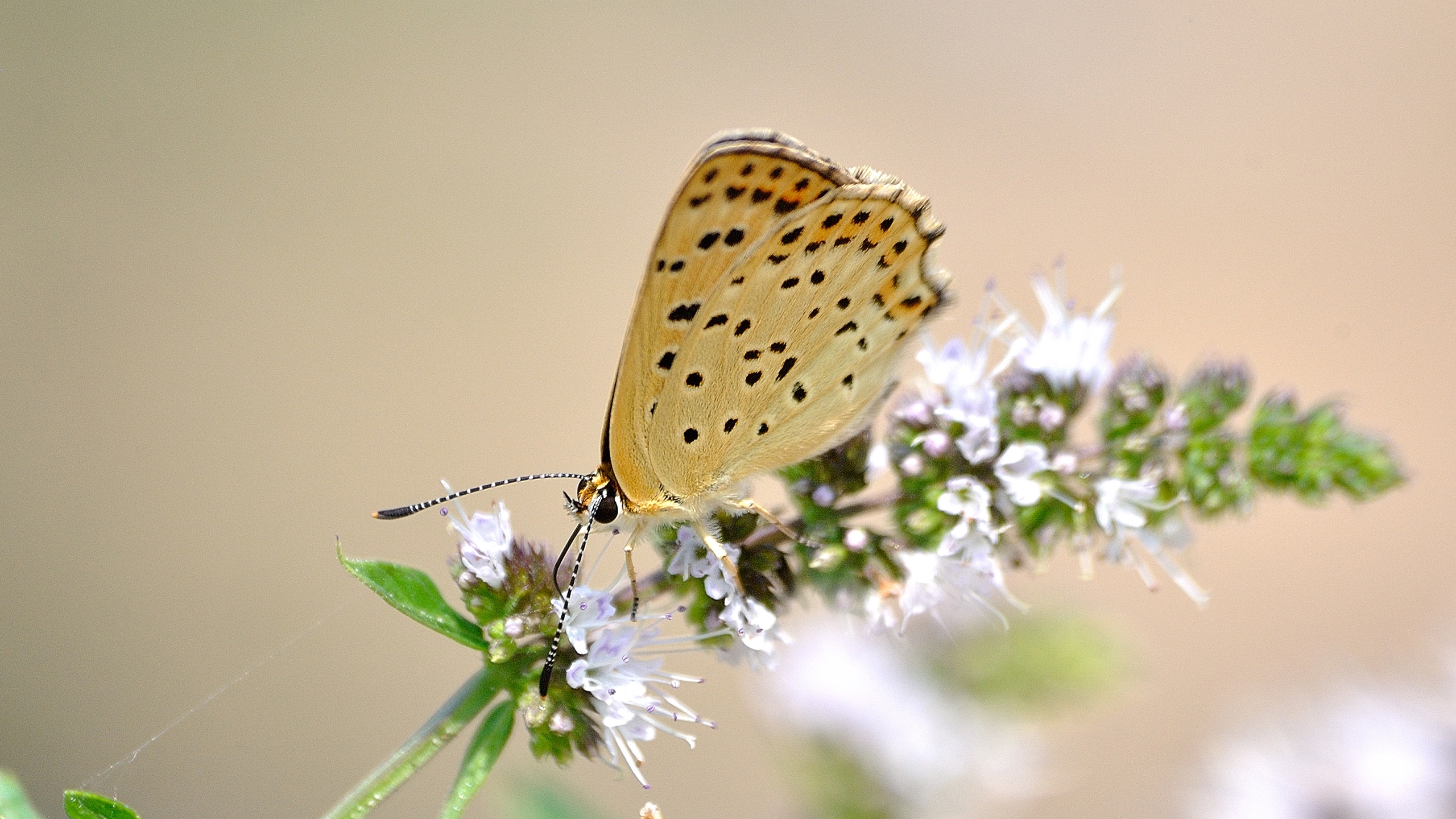 Banner Image 6