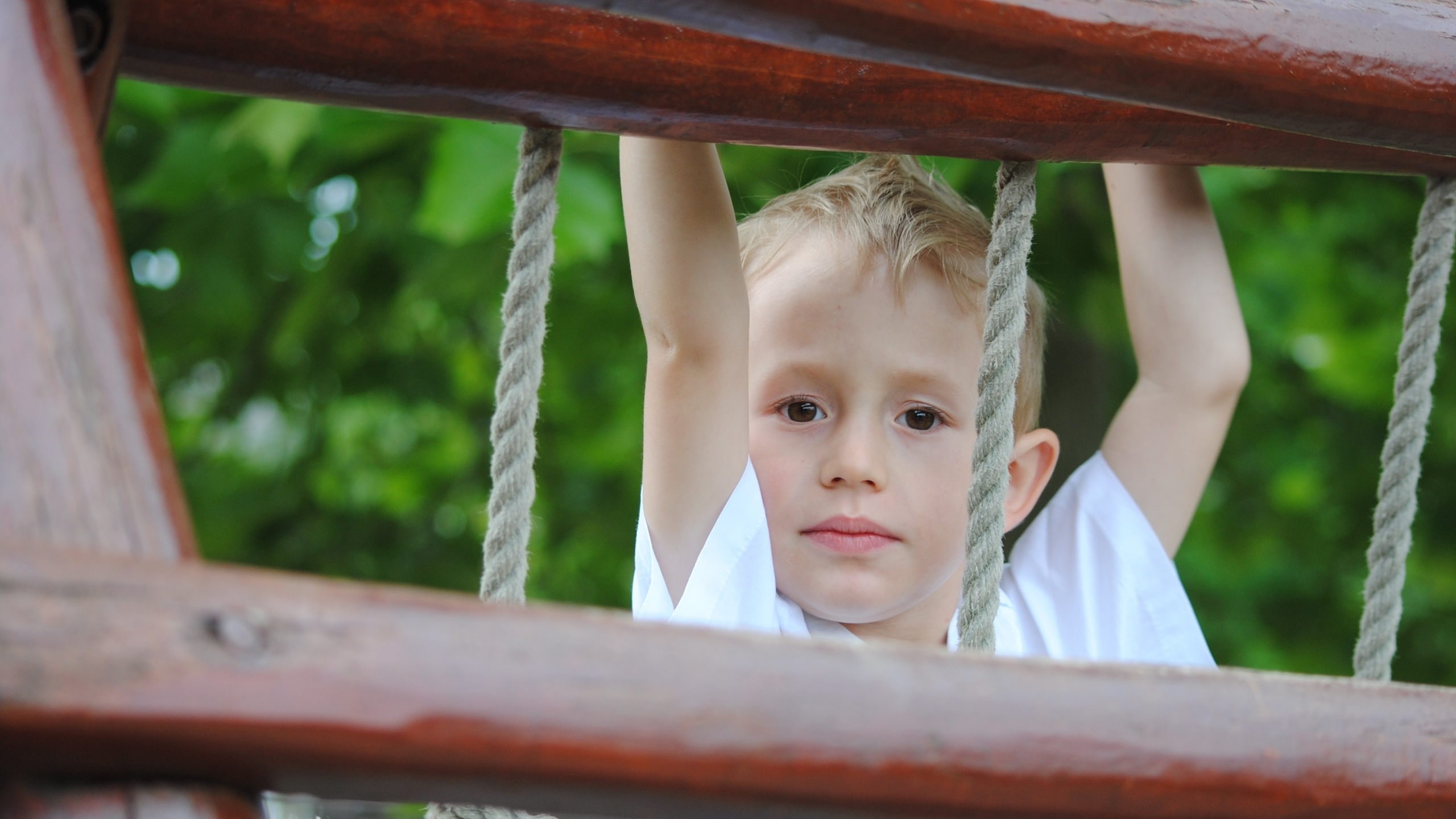 Banner Image 7