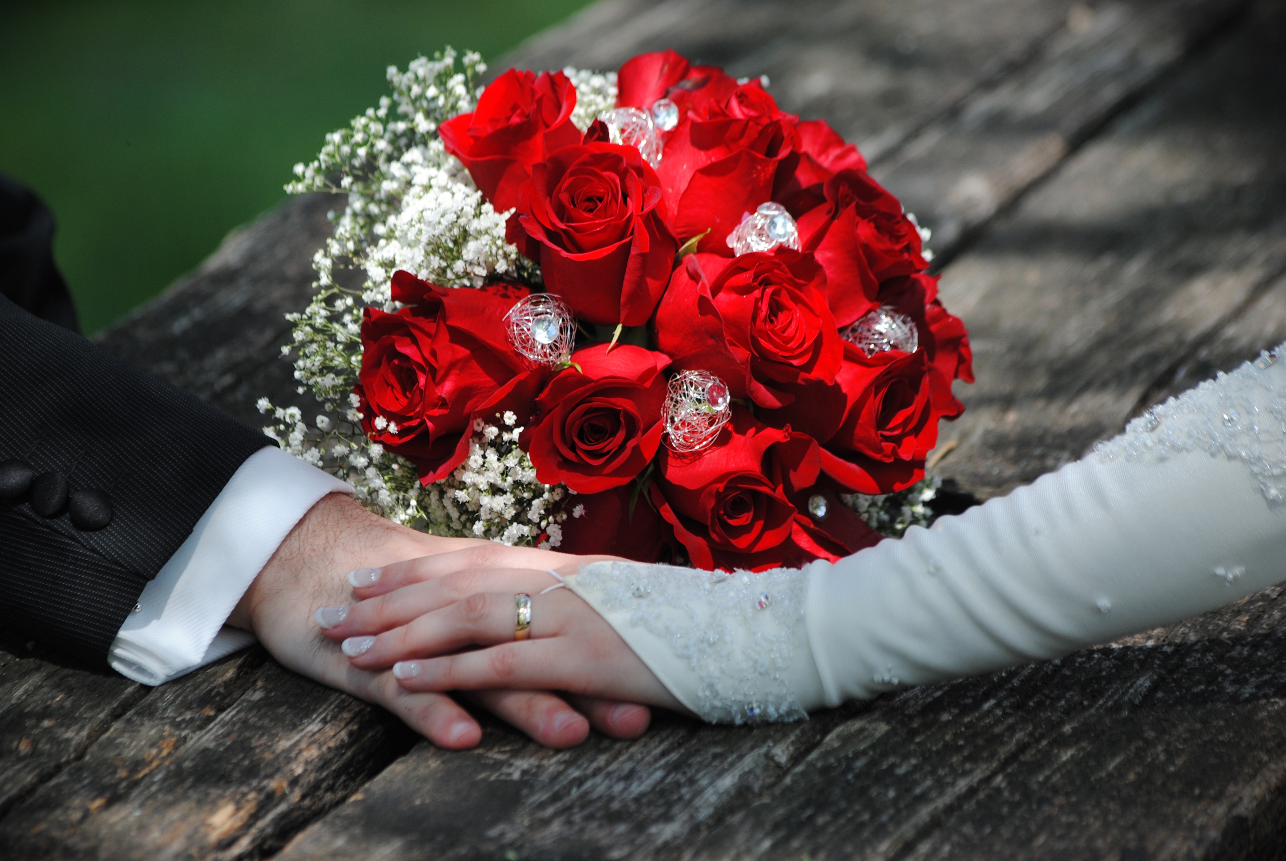Banner Image 8