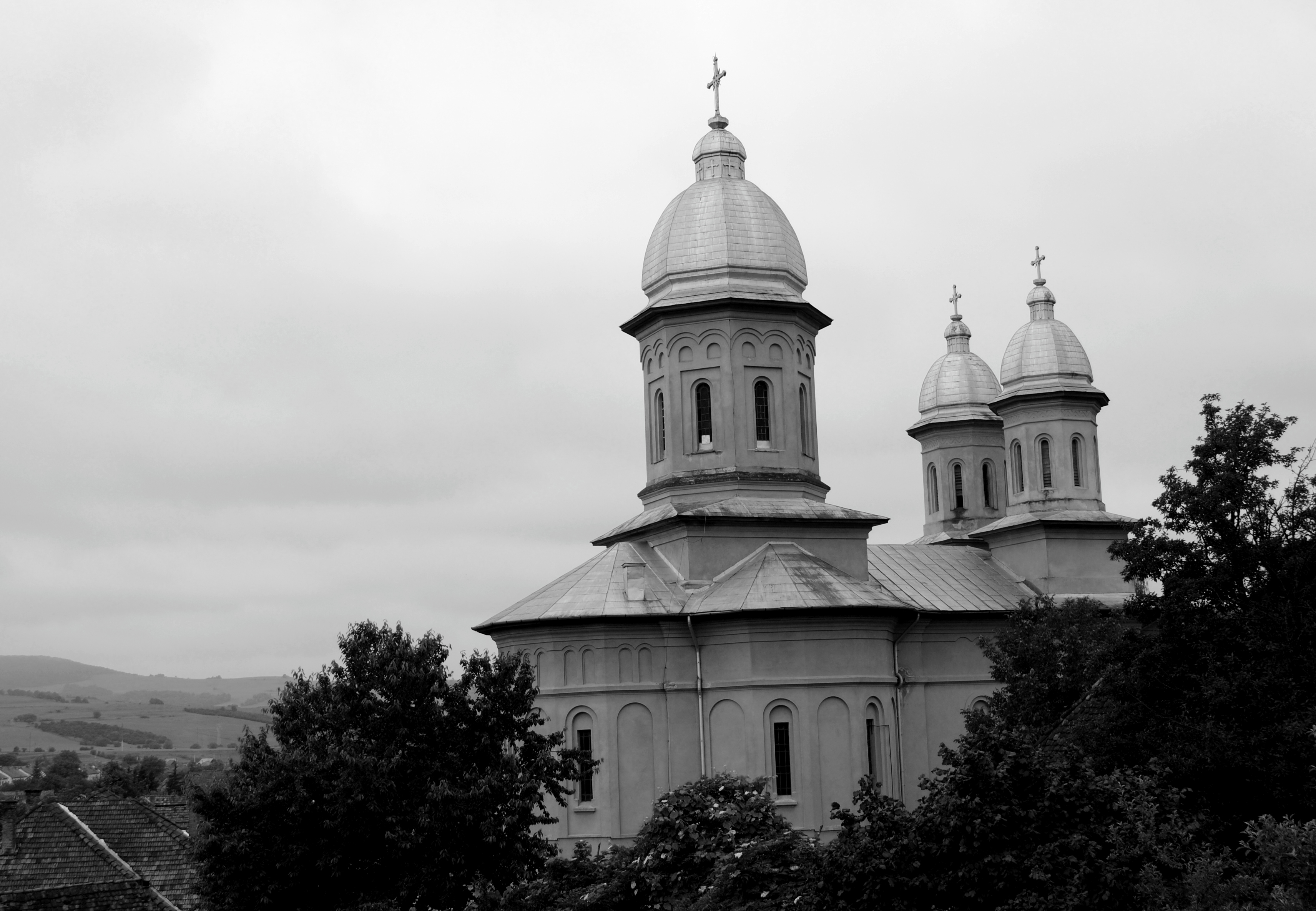 Banner Image 4
